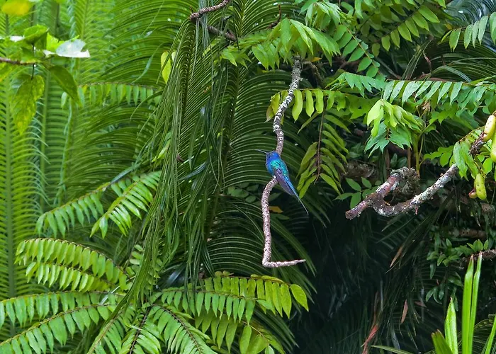  Pousada Almaviva